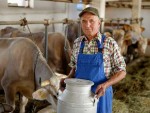 ANSVSA pune limită pentru micii producători: Vânzare directă maximum 300 litri de lapte pe zi!