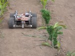 Concurs de condus tractorul şi demonstraţii cu roboţi şi utilaje pentru ferme, la Agromalim 2021