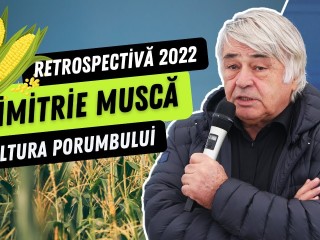 O retrospectivă a culturii porumbului în 2022 cu Dimitrie Muscă