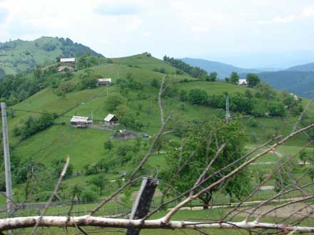 Zonă montană