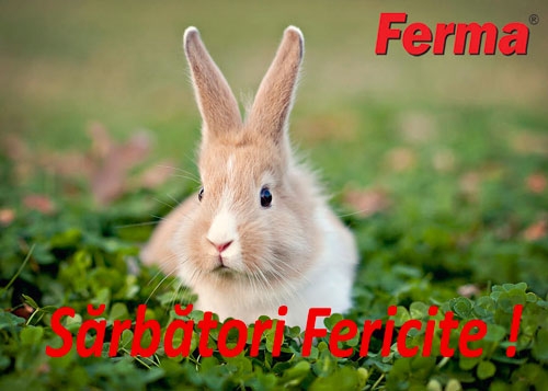 Ferma-sarbatori-fericite_b