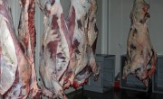 carcase-carne-vita