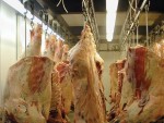 INS: Numărul total de bovine sacrificate, în creştere cu 1,4% în august