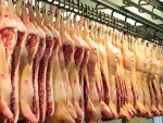 Exporturile de CARNE de PORC din UE au atins un nivel RECORD în 2020