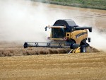 Tabără: „Valoarea producţiei agricole va depăşi 10 miliarde de euro. Dublu faţă de anul trecut”