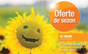 oferte_floarea-soarelui_bas