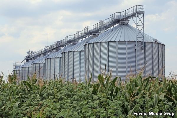 UE - perspectivele agricole pe termen scurt