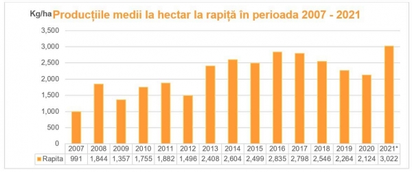 5-productii-medii-rapita_b