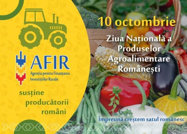 afir 10 oct_b