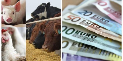 Ministrul agriculturii anunță un ajutor suplimentar de 249 milioane euro!