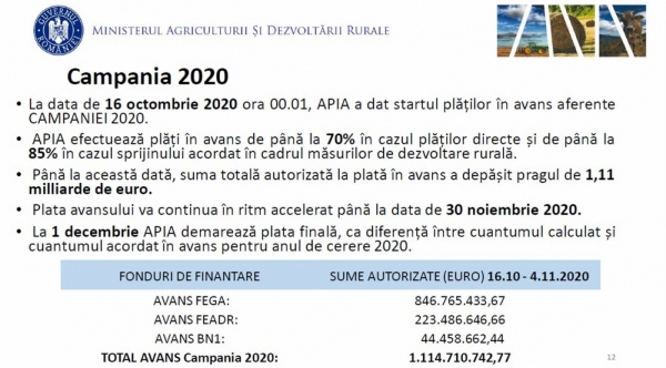 apia-campania-2020_b