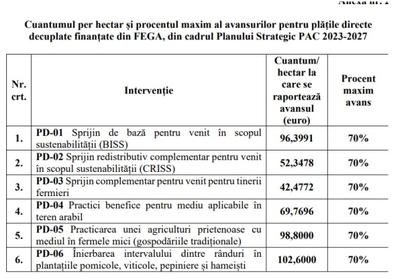 avans hectar 2024_b