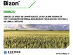 Bizon™ - pentru un start bun al culturilor de cereale păioase!