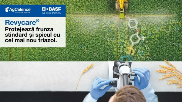 BASF_Revycare+ProtejeazÄƒ frunza stindard È™i spicul_b