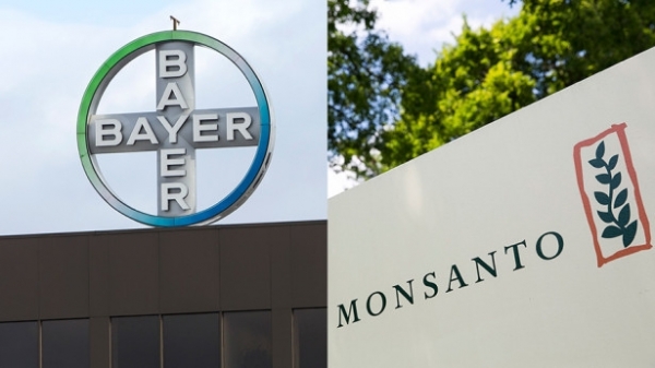 VÂNDUT! MONSANTO a acceptat oferta BAYER! Cum va arăta PIAŢA SEMINŢELOR şi a PESTICIDELOR?