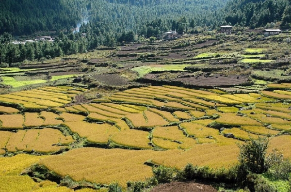 Bhutan