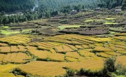 Bhutan