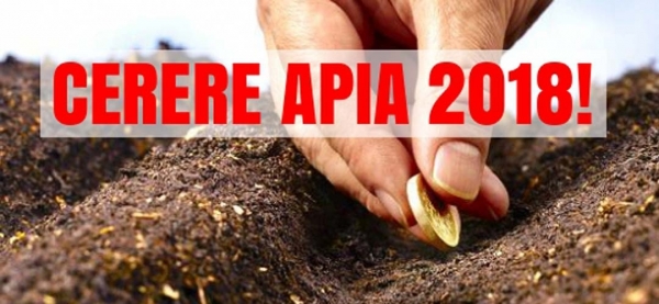 EXCLUSIV! SUPRAFAȚĂ MAI MARE solicitată la PLATA SUBVENȚIILOR APIA în 2018!