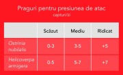 Capturi medii zilnice Helicoverpa armigera  în perioada 2 - 9 iulie 2024 în zonele de monitorizare 1