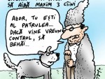 15 decembrie, zi de protest: Crescătorii de ovine ocupă Parlamentul României!