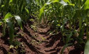 Climate Changes urge farmers to use sustainable practices_Corteva Agriscience