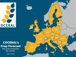 Coceral reduce prognoza privind producţia UE de grâu