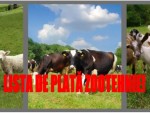 DATA LA CARE INTRĂ LA PLATA SUBVENȚIILOR APIA ACEȘTI CRESCĂTORI DE ANIMALE!