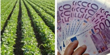 Suma APIA de 400 euro/ha pentru un hectar cultivat cu soia!