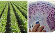 Suma APIA de 400 euro/ha pentru un hectar cultivat cu soia!