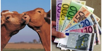 Fermierii maghiari se roagă la Dumnezeu să NU ne trezim! Ce subvenții primesc pe litrul de lapte!