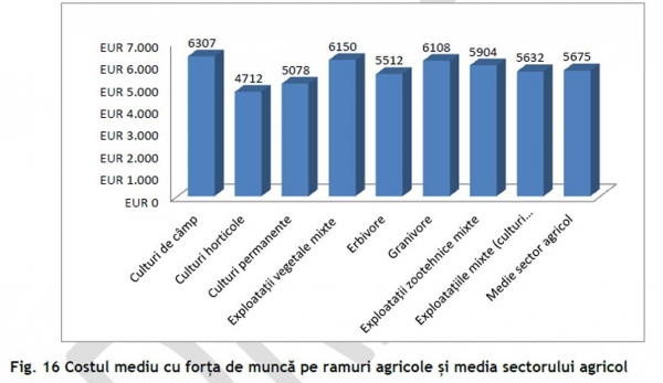 cost-mediu-munca-agric_b