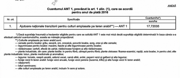 cuantum-ant-monitor_b