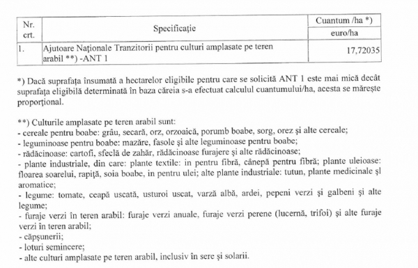 cuantum-ant_b