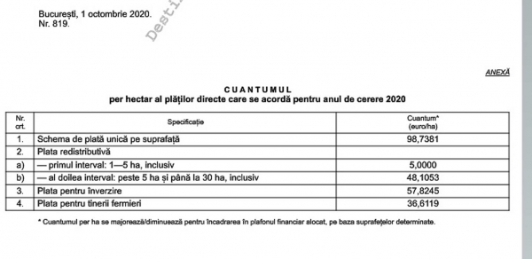 cuantum-plati-mo-2020_b