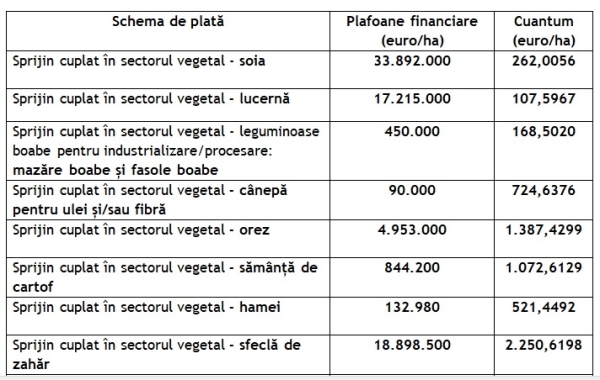 cuplat 2022_b