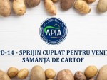 Sprijin cuplat sămânţă de cartof, condiții, acte pentru acest an!