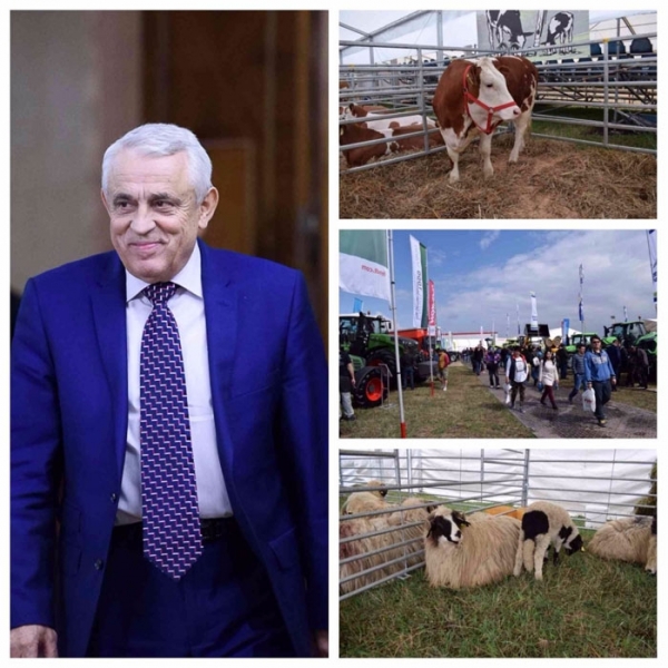 Petre DAEA se lasă AŞTEPTAT la AGRARIA!