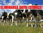 Data istorică! Doar în România și-n Bulgaria se iau subvenții pe bovine care nu mai există!