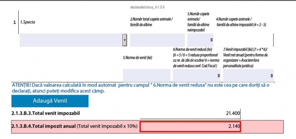 declarat6_b