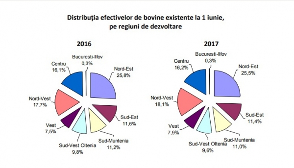 distributie-bovine-regiuni_b