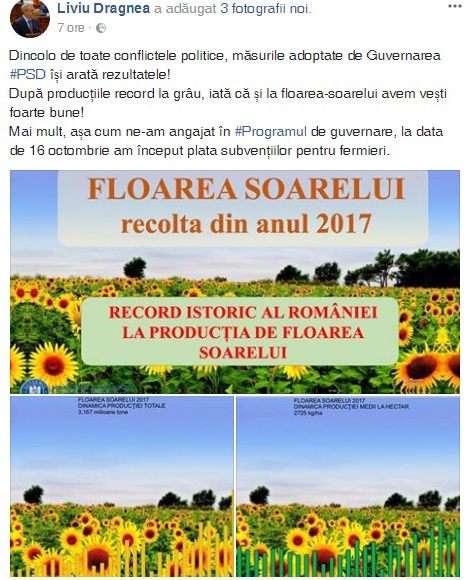 dragnea-floare-2017_b