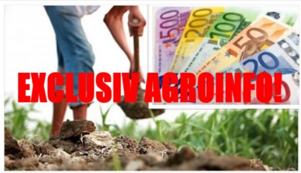 EXCLUSIV AGROINFO! CIFRE EXACTE ÎMPĂRȚIRE EȘANTION DE CONTROL APIA! CE FERMIERI SUNT INCLUȘI OBLIGATORIU ÎN EȘANTION!