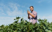 Farmer with mobile phone in the field