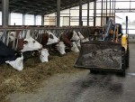 DE ASTĂZI, FERMELE USAMV CLUJ, CERTIFICATE BIO! 970 HA, 837 DE OVINE ȘI 261 BOVINE!