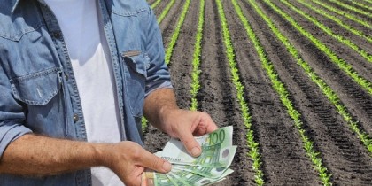 Investițiile în agricultură au crescut cu 3,2% în acest an!