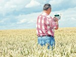 Prognoza UE: creşte venitul în agricultură, scade forţa de muncă