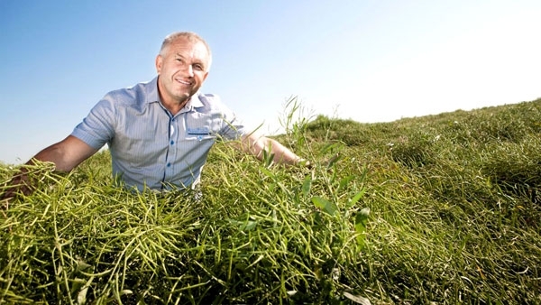 Asigură succesul culturii de rapiţă de la început, cu pachetele promoţionale de la BASF