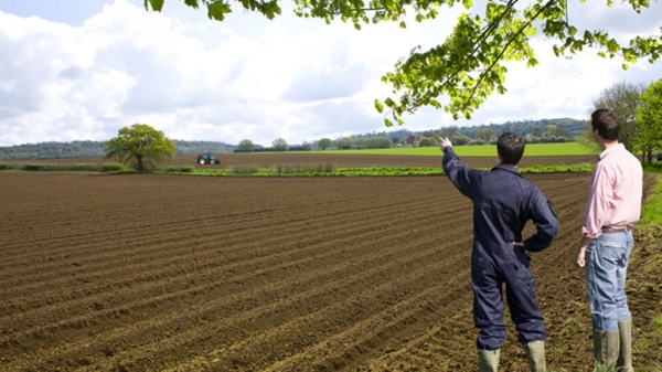 Cererea unică 2016 dezbătută de APIA Timiș la Ziua Agriculturii!