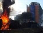 Martoră la protestul fermierilor! Imagini de la Bruxelles pe care nu ai cum să le vezi în altă parte!