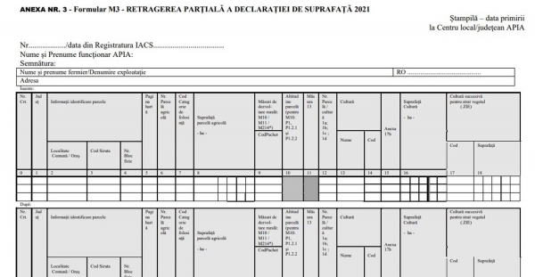 formular-m3-apia-2021_b